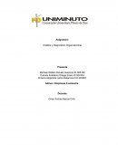 MATRICES ANALISIS Y DIAGNOSTICO ORGANIZACIONAL