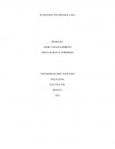 FUNDACION VOLVIENDO A CASA