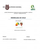 PLAN DE NEGOCIOS MERMELADA DE CHILE