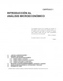 Analisis microeconomico