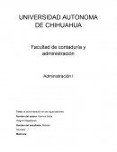 Administracion en las organizaciones