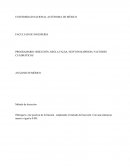 PROGRAMARIO: BISECCIÓN, REGLA FALSA, NEWTON-RAPHSON, FACTORES CUADRÁTICOS