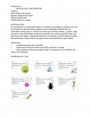 Practica No. 2 MICROSCOPIA Y MICROMETRÍA