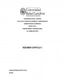 COMPORTAMIENTO ORGANIZACIONAL.LO QUE HACEN LOS GERENTES