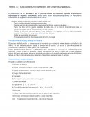 Apuntes gestion economica y financiera de la empresa