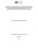 ASESORIA PARA LA PROMOCIÒN DE LA LÙDICA COMO ESTRATEGIA PEDAGÒGICA