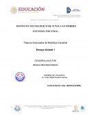 Tópicos Avanzados de Robótica Industrial