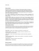 Informe País Política de Rusia