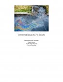 CONTAMINACIÓN DE LOS RÍOS POR MERCURIO