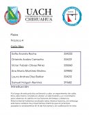 Física Práctica Caída libre
