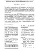 CALIDAD DE SEMILLA Y FRUTO DE PIMIENTO MORRÓN PRODUCIDO EN DOS CONDICIONES DE INTENSIDAD LUMINOSA Y COSECHADO EN DIFERENTES ESTADOS DE MADUREZ