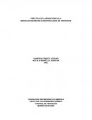 PRÁCTICA DE LABORATORIO No 2 MODELOS DINAMICOS E IDENTIFICACION DE PROCESOS
