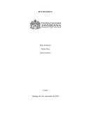 Ventajas y desventajas del Benchmarking