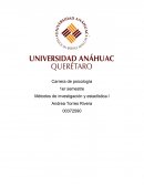 Idea de investigación. Autismo y sus tratamientos