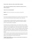 Porque los niños y adolescentes no deben tomar bebidas energéticas