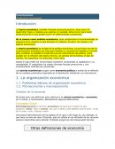 Teoría Económica. Introducción a la economía