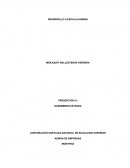 DESARROLLO A ESCALA HUMANA Y EL PLAN DE DESARROLLO MUNICIPAL (MONTERIA)