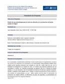 Diseño de una metodología para el ruteo de vehículos en la recolección de llantas usadas en Ibagué