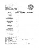 Reporte Quimica Organica Esteroisomería