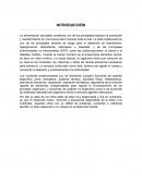 Proyecto Nutricion.La importancia de las proteínas