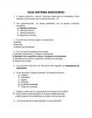 Guía de sistema endocrino