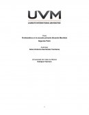 Problemática en la escuela primaria Eduardo Mendieta