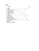 Practicas de Programación