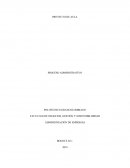 Proceso Administrativo- Proyecto de Aula