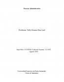 Gerencia y Tecnología. Proceso Administrativo