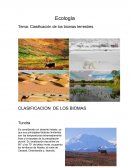 Clasificación de los biomas terrestres