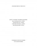 ANÁLISIS DEL PROCESO – PROYECTO P2 GRUPO 15 - INGENIERIA Y DESARROLLO SOSTENIBLE