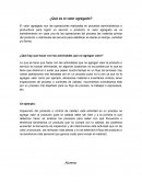 ¿Que es el Valor Agregado?