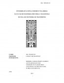 Elaboración del expediente técnico para la ejecución de las Obras de señalización y mantenimiento de la intersección formada entre La Av. Pardo de Zela con la Av. Cesar Canevaro