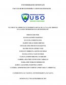 El impacto ambiental económico, social de la tala de árboles en la zona metropolitana de Sonsonate