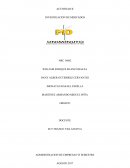 Actividad Investigacion de mercados