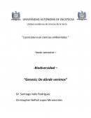 Genesis. De dónde venimos