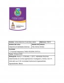 DESARROLLO DE HABILIDADES DIRECTIVAS