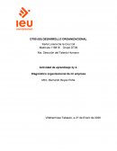 Diagnóstico organizacional de mi empresa