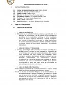PROGRAMACIÓM CURRICULAR ANUAL