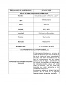 VILLA GUERRERO ÍNDICADORES DE OBSERVACION PRACTICA