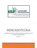 Diseño de mezcla mercadológica para las P`S "Plaza y promoción"