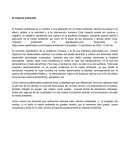 El impacto ambiental