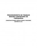 PROCEDIMIENTO DE TRABAJO SEGURO CARPINTERO DE TABIQUERIA