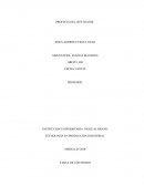 Relatoria sobre la profesia del jefe seathl