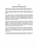 METODOLOGÍA DE SISTEMAS SUAVES