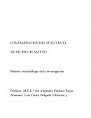 CONTAMINACIÓN DEL SUELO EN EL MUNICIPIO DE SATEVÓ