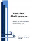 Proyecto ambiental. Creación del compost caser
