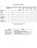 TABLA DE IMPACTO AMBIENTAL