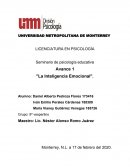 Avance 1 "La Inteligencia Emocional"