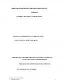 Proceso de diagnóstico organizacional de una empresa